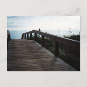 Jacksonville Beach, Florida Postcard