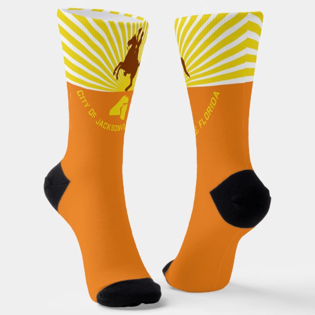 Jacksonville (Florida) city flag Socks (Angled)