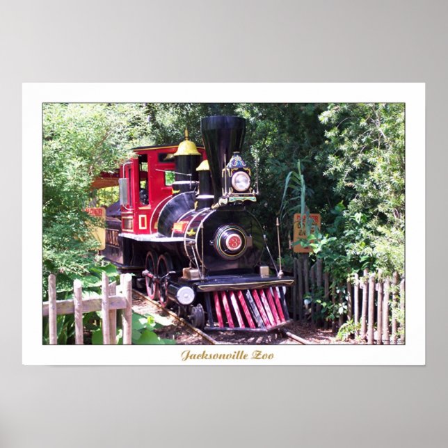 Jacksonville Zoo Poster (Front)