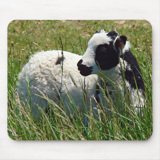 Jacob Ram Lamb Mouse Pad (Front)