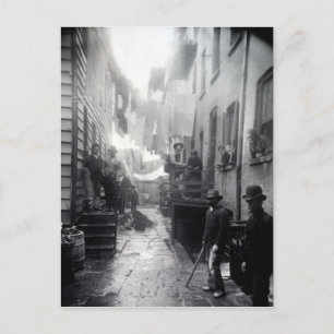 Jacob Riis Bandit's Roost Postcard