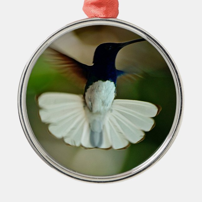 Jacobin in flight metal ornament (Front)