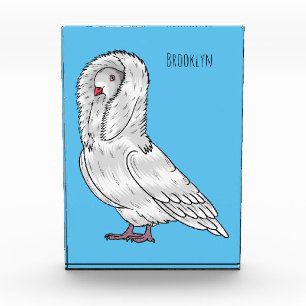 Jacobin pigeon bird cartoon illustration photo block