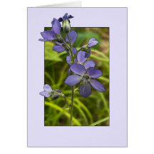 Jacob's Ladder - 5" x 7" Art Card