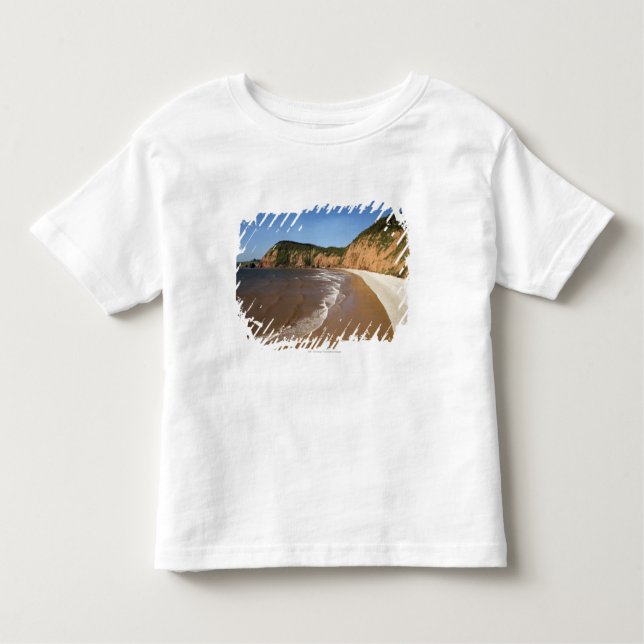 Jacob's Ladder Bay Toddler T-Shirt (Front)