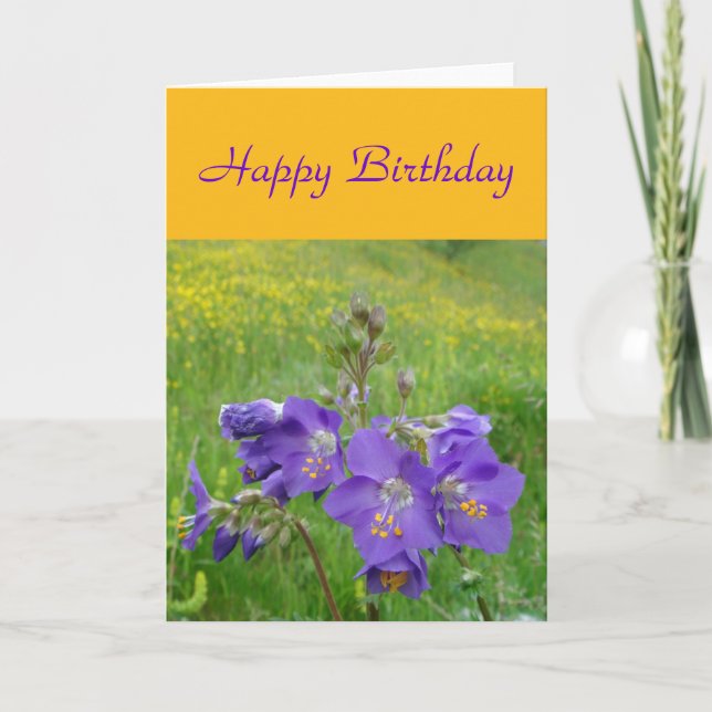 Jacob's ladder card (Front)