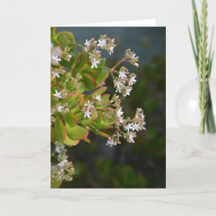 Jade flowers photo card
