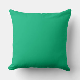 Jade Green Cushion