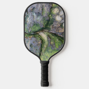 Jade Green Mossy Beach Rocks Toowoon Bay Pickleball Paddle