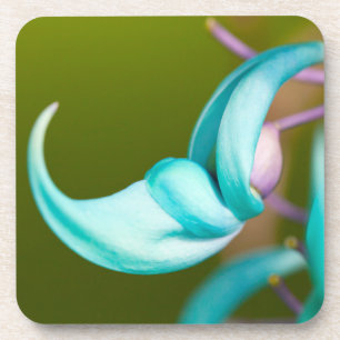 Jade Vine Hard Plastic Coasters (set of 6)