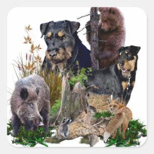  Jagdterrier Apache v. Renbrad. Sticker
