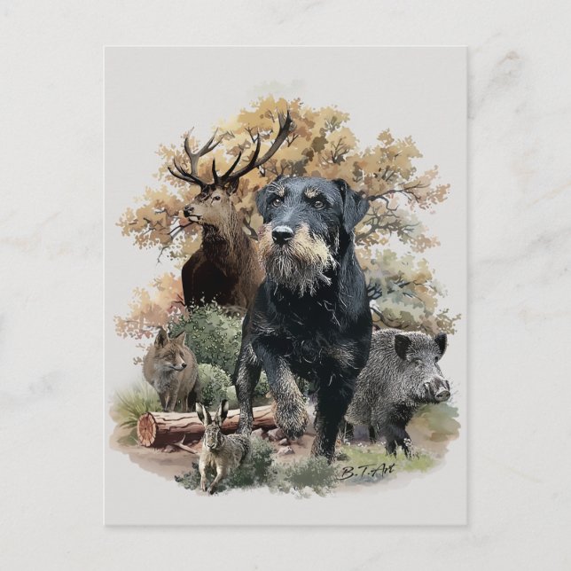 Jagdterrier  postcard (Front)
