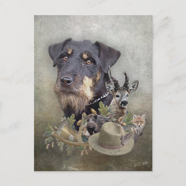 Jagdterrier  postcard (Front)