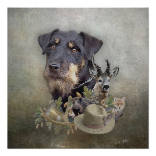 Jagdterrier poster