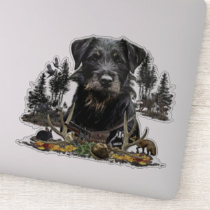 Jagdterrier -  versatile hunting dog  