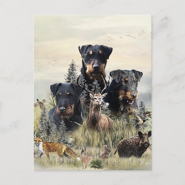 Jagdterriers v. Renbrad Kennel  Postcard (Front)