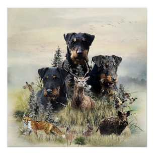 Jagdterriers v. Renbrad Kennel  Poster