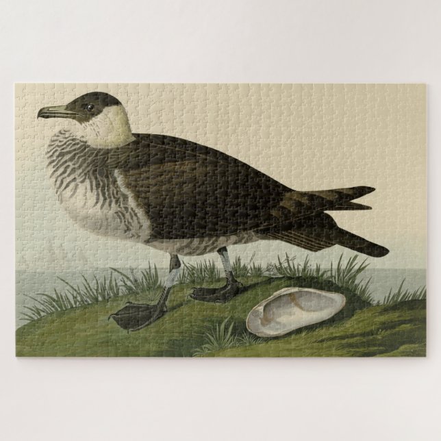Jager (Pomarine Jaeger) Audubon's Birds of America Jigsaw Puzzle (Horizontal)