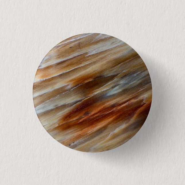 Jagged Petrified Wood 3 Cm Round Badge (Front)
