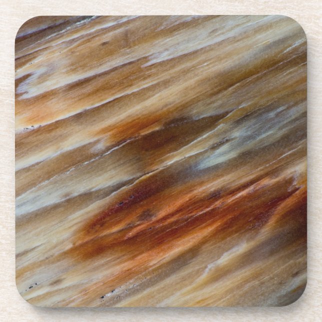Jagged Petrified Wood Coaster (Front)