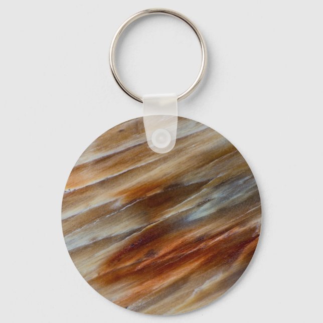 Jagged Petrified Wood Key Ring (Front)
