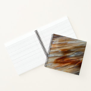 Jagged Petrified Wood Notebook