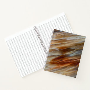 Jagged Petrified Wood Notebook