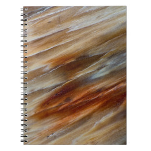 Jagged Petrified Wood Notebook