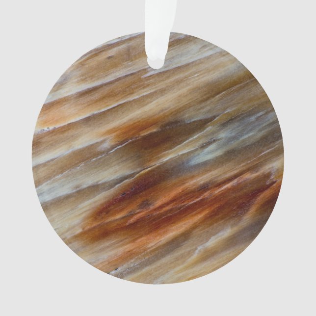 Jagged Petrified Wood Ornament (Front)