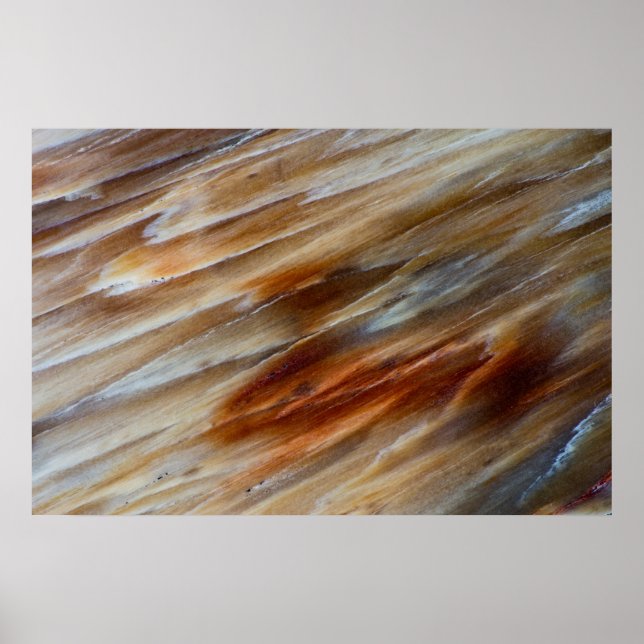 Jagged Petrified Wood Poster (Front)