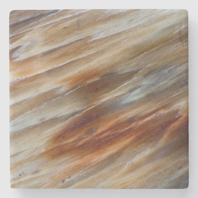 Jagged Petrified Wood Stone Coaster (Front)