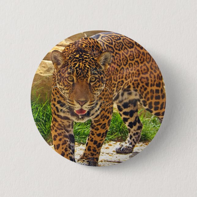 Jaguar 6 Cm Round Badge (Front)
