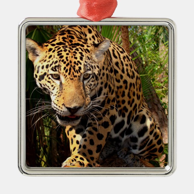 Jaguar Adolescent Metal Tree Decoration (Front)