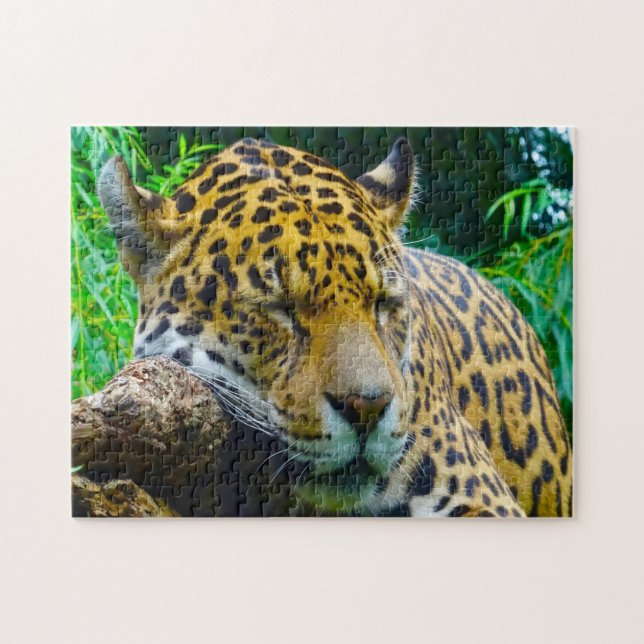 Jaguar Big Cats . Jigsaw Puzzle (Horizontal)