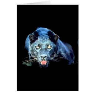 Jaguar - Black Panther