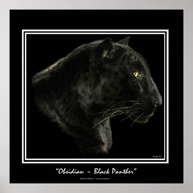 Jaguar, Black Panther Big Cat Art Print (Front)