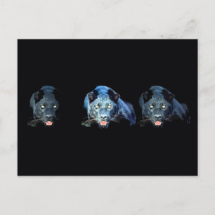 Jaguar - Black Panther Postcard