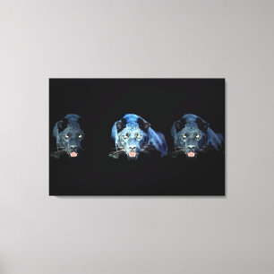 Jaguar - Black Panther Wrapped Canvas - 3 Canvases
