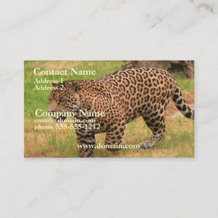 Jaguar Business Card