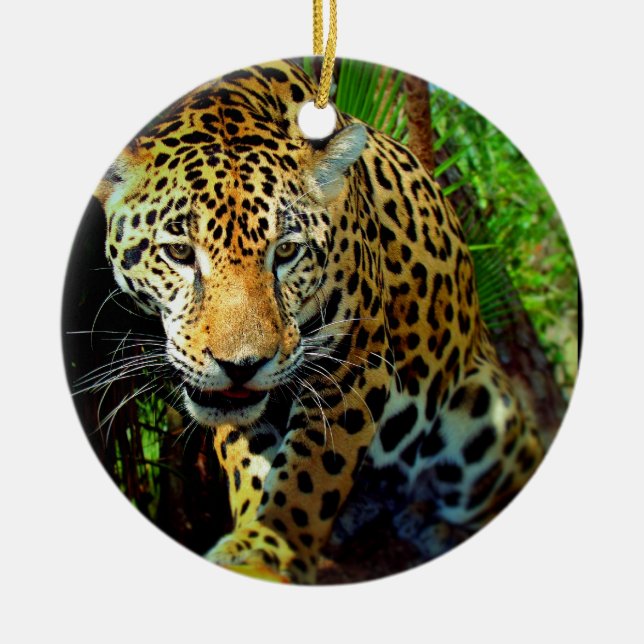 Jaguar Ceramic Tree Decoration (Front)