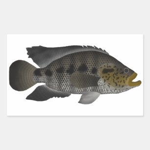 Jaguar Cichlid Rectangular Sticker
