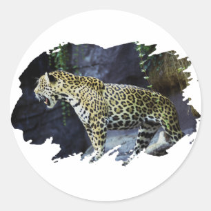 Jaguar Classic Round Sticker