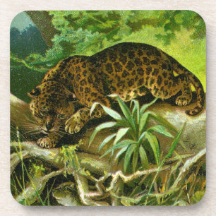 Jaguar Climbing Over Roots to Reach Water Coaster