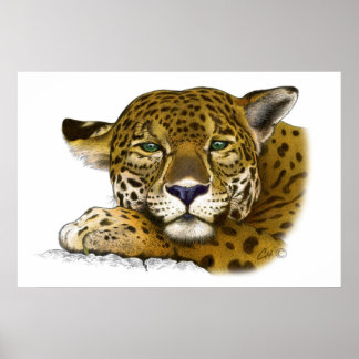 Jaguar coloured poster