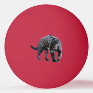Jaguar Diablo 1 star red ping pong ball