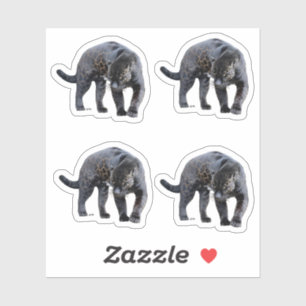 Jaguar Diablo 4 small contour stickers