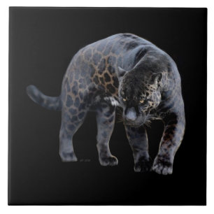 Jaguar Diablo black large ceramic tile