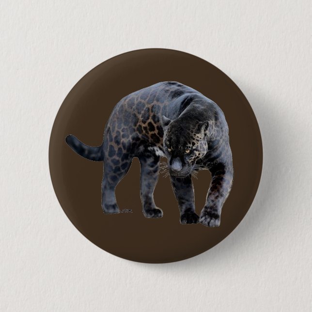 Jaguar Diablo brown button (Front)
