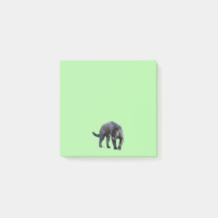 Jaguar Diablo green 3x3 note pads