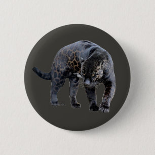 Jaguar Diablo grey button